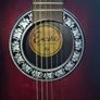 Semi-acoustic guitar Image 3