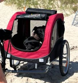 Bike Dog Carrier