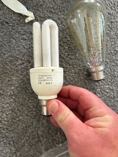 Tungsten bulbs