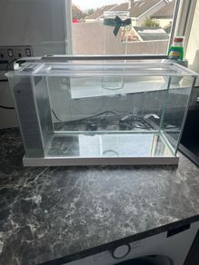 Fish tank