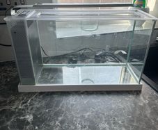 Fish tank