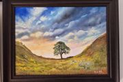 Sycamore Gap Tree