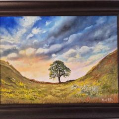 Sycamore Gap Tree