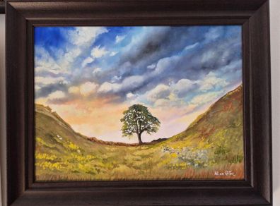 Sycamore Gap Tree