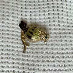 Gold bird brooch (antique)