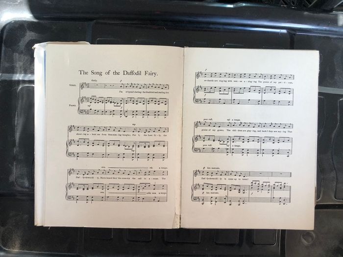 Antique Book Spring Songs with Music from "Flower Fairies of the Spring"