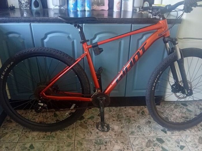 giant bike