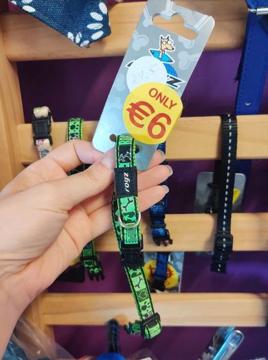 Dog collars on sale
