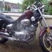 shanehill1