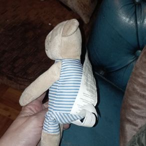 Soft teddy