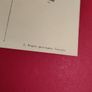 Vintage French Postcard c1900 Unused - Rare Image 3