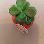 Faux succulent in strawberry vase Image 4