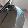 Vintage Ray-Ban Polarized sunglasses Image 3