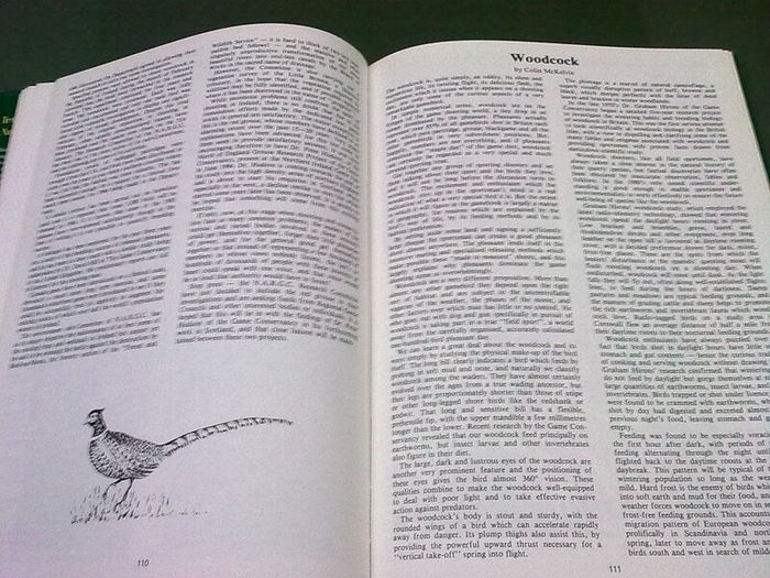 Irish fieldsports & angling handbook Ireland 1984