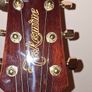 takamine acoustic Image 4