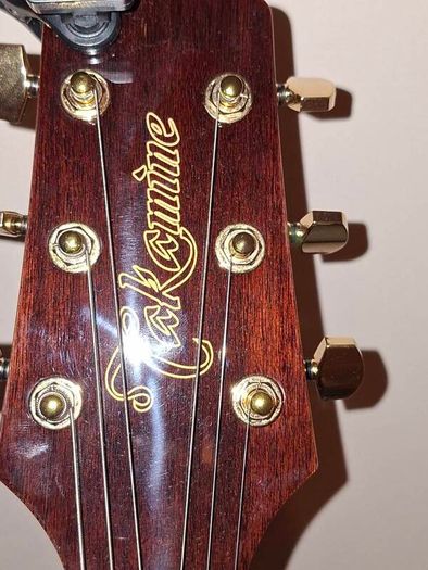 takamine acoustic