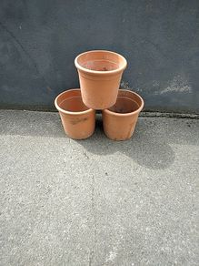 Large plant pots