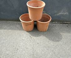 Large plant pots