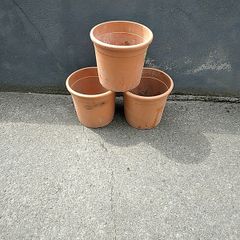 Large plant pots