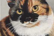 Custom Cat Portrait