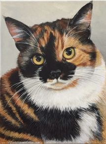 Custom Cat Portrait