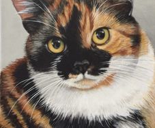 Custom Cat Portrait