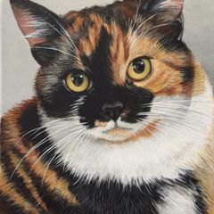 Custom Cat Portrait