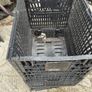 plastic pallet crates Image 2