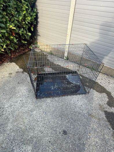 Dog Cage