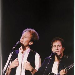 Simon & Garfunkel - The Concert In Central Park (DVD)