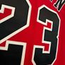 Authentic Michael Jordan Championship Winning Jersey Image 10