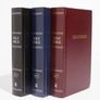 bible Image 3