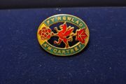 WW1 Women's Institutes (WI) for Home and Country Welsh Badge