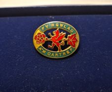WW1 Women's Institutes (WI) for Home and Country Welsh Badge