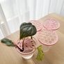 3 Plant Propagation Lids Custom Size Colour New Image 2