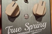 True Spring One Series Reverb Pedal