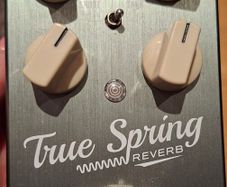 True Spring One Series Reverb Pedal