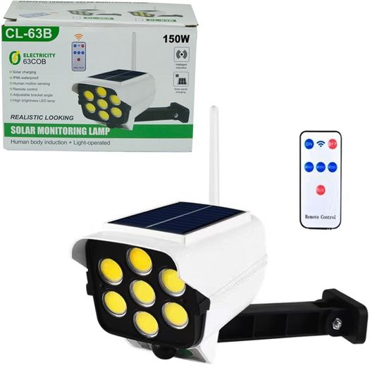 Solar Light with Remote Control