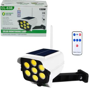 Solar Light with Remote Control