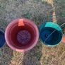 10 pots..plastic and terracotta Image 3