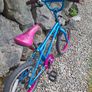 kids bike Image 2