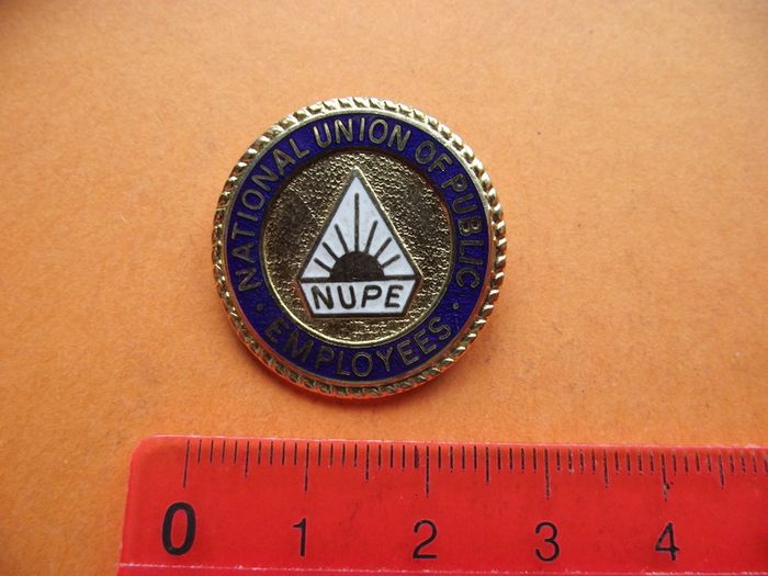 Vintage National Union Of Public Employees Enamel Pin Badge