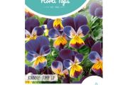 HT Horned Viola Johnny Jump Up Seeds 0.3g | Sow in July
