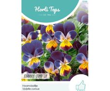 HT Horned Viola Johnny Jump Up Seeds 0.3g | Sow in July