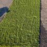 artificial grass Image 3