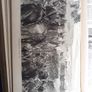 book vintage British  Battles on Land and Sea By James Grant illustrated  history world Image 6