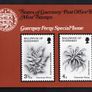 1975 Guernsey Ferns Commemorative Stamps Presentation Pack Image 2