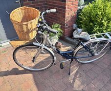 Ladies bike with basket