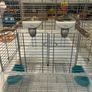 bird cage Vision Image 2