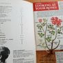 Be Your Own Rose Expert Image 2